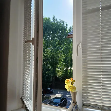 Sunny View *